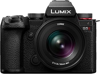 Amazon | パナソニック(Panasonic) パナソニック フルサイズミラーレス